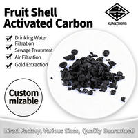 Charbon actif de coque de noix de coco, valeur d'iode 1200, certifié ISO 9001, pureté 99,99 %, pour la purification de l'air et la filtration de l'eau