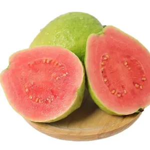 Hongda Factory Supply Beverage Ingredient Guava Juice Powder Natural Guava Juice Powder