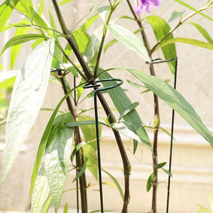 <span class=keywords><strong>Support</strong></span> métal porte-<span class=keywords><strong>plante</strong></span> escalade intérieur petit mini treillis pour plantes <span class=keywords><strong>en</strong></span> <span class=keywords><strong>pot</strong></span> treillis de jardin - Product Image 6