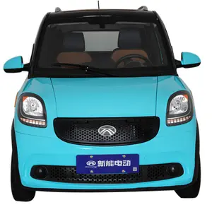 Heißer Verkauf New Electric Mini Car 2024 EV Car Cruising Range New Energy Vehic das beste Auto in China