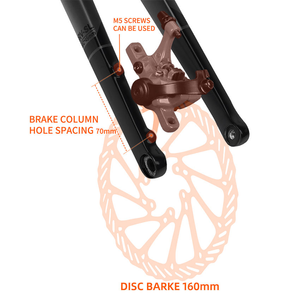 Forcella Bici da Corsa TOSEEK Tapered Thru 12x100mm 9mm 700c in Carbonio per Bici da Strada, Gravel e Ciclocross Compatibile con Freno <span class=keywords><strong>a</strong></span> Disco - Product Image 4