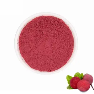 OEM ODM Rote-Bete-Pulver Rote-Bete-Konzentrat-Saft pulver Pflanzen pigment Rote-Bete-rotes Farbpulver