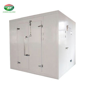 Chambre froide pour poulet congelé, chambre de congélation et de refroidissement, chambre froide modulaire - Product Image 1
