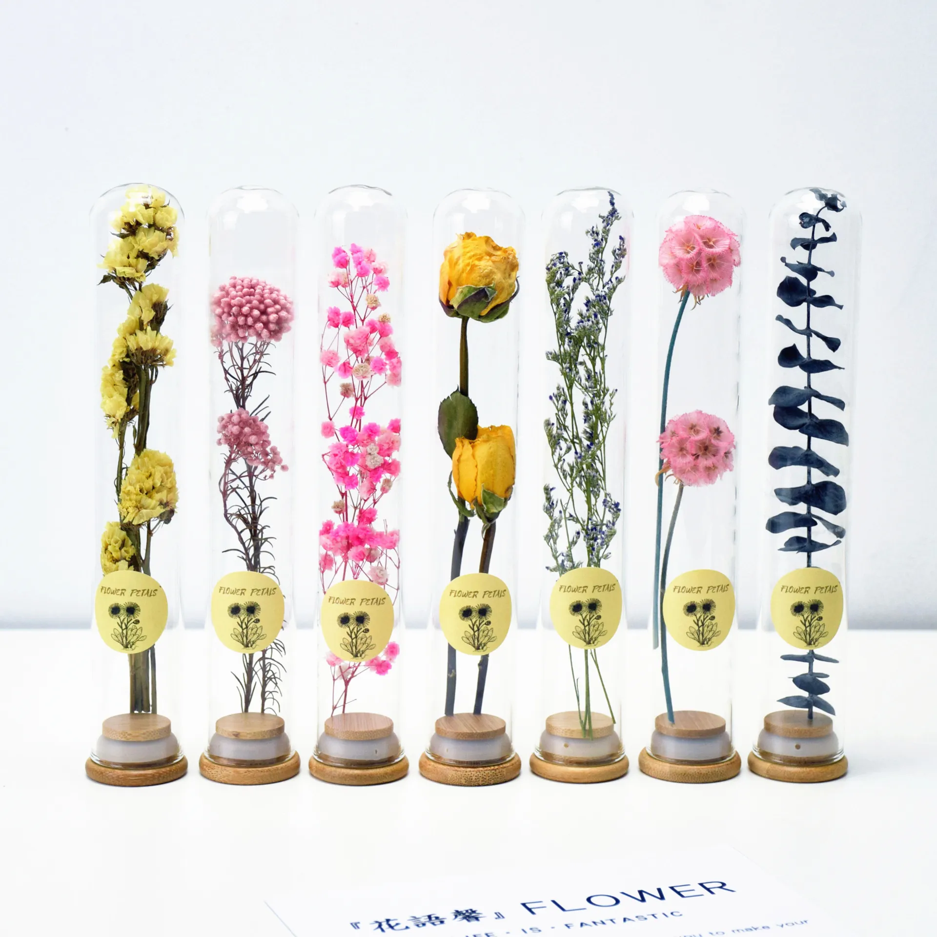 Стеклянная пробирка для засушенных цветов, украшения из Гипсофилы, геркон, не забудьте о том, образец цветов, стеклянная пробирка, ваза для цветов