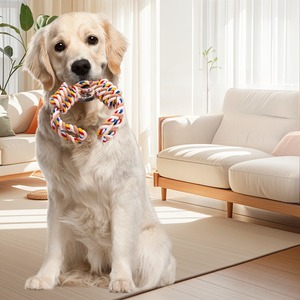 Durabel Dog ChewingToy giocattolo nodo di gomma giocattoli molari <span class=keywords><strong>Pet</strong></span> <span class=keywords><strong>Pet</strong></span> giocattoli palla corda da masticare gioco morso <span class=keywords><strong>Pet</strong></span> Set denti biancheria di cotone - Product Image 1
