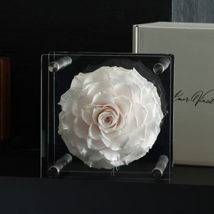 Exclusivo Soporte Acrílico con Rosa Natural Preservada en Caja de Regalo, Regalo para el Día de San Valentín, Adorno de Flores Secas, Detalle Premium - Product Image 2