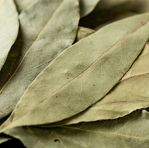 热销传统干香料产地天然无添加批发价格供应月桂叶