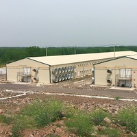 Bâtiment d'Élevage Avicole Moderne à Structure en Acier Léger pour Ferme de Volailles
