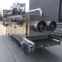 Gloednieuwe stoomverwarmde continue transportbanddroogmachine voor fruit en groenten