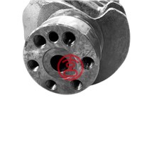 Cigüeñal de Acero Forjado para Motor Diésel TD25 de 2.5L, Nuevo, 12200-VB000, para Nissan Terrano II, Navara D21, Vanette Cargo