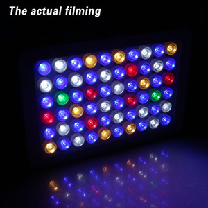 ไฟ LED สำหรับตู้ปลา 180W ปรับความสว่างได้ สเปกตรัมเต็ม สำหรับตู้ปลาปะการังและอุปกรณ์ตู้ปลา ไฟสำหรับตู้ปลา - Product Image 4