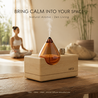 Diffuseur d'huiles essentielles sans eau HIITII, en verre et bois, nébulisation, rechargeable par USB Type-C, portable, pour hôtel, SPA, diffuseur de parfum