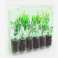 Boîte d'expédition R-PET transparente/6 plantes