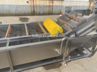 DZJX Machine à laver par immersion pour banane Fruits industriel goyave ail herbes citron Hibiscus fleur herbes Machine de nettoyage