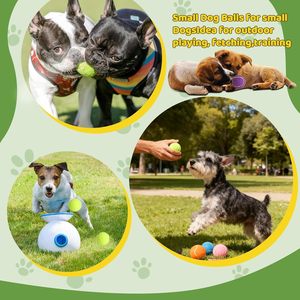 Custom Durable Eco-Friendly Rubber Dog Tennis Balls with Built-in Squeaker-Promotional Pet Gifts & Giveaways with Logo - Product Image 4