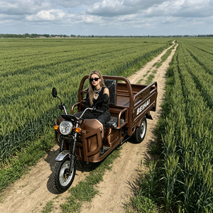 2026 BEIHAI Three Wheeled Supercar Cheap Mini 60V 2000W Scooter 3 Wheel <b>Passenger</b> Tricycles for Adults - Product Image 2