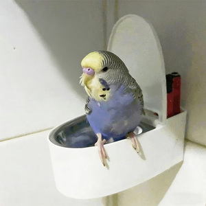 Kangdarpet – Pot à déjections mural multifonctionnel moderne pour perroquets, avec bassin en plastique détachable, toilette pour oiseaux, bol de nourriture de bureau pour petits perroquets - Product Image 1