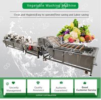 Industriële fruit- en ananasborstel- en wasmachine met lager & motor 380V/220V