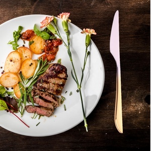 9.0 pouces en acier inoxydable poids lourd couteaux de dîner événement de mariage couverts dîner <span class=keywords><strong>couteau</strong></span> cuillère fourchette ensemble <span class=keywords><strong>couteau</strong></span> de cuisine <span class=keywords><strong>table</strong></span> - Product Image 3