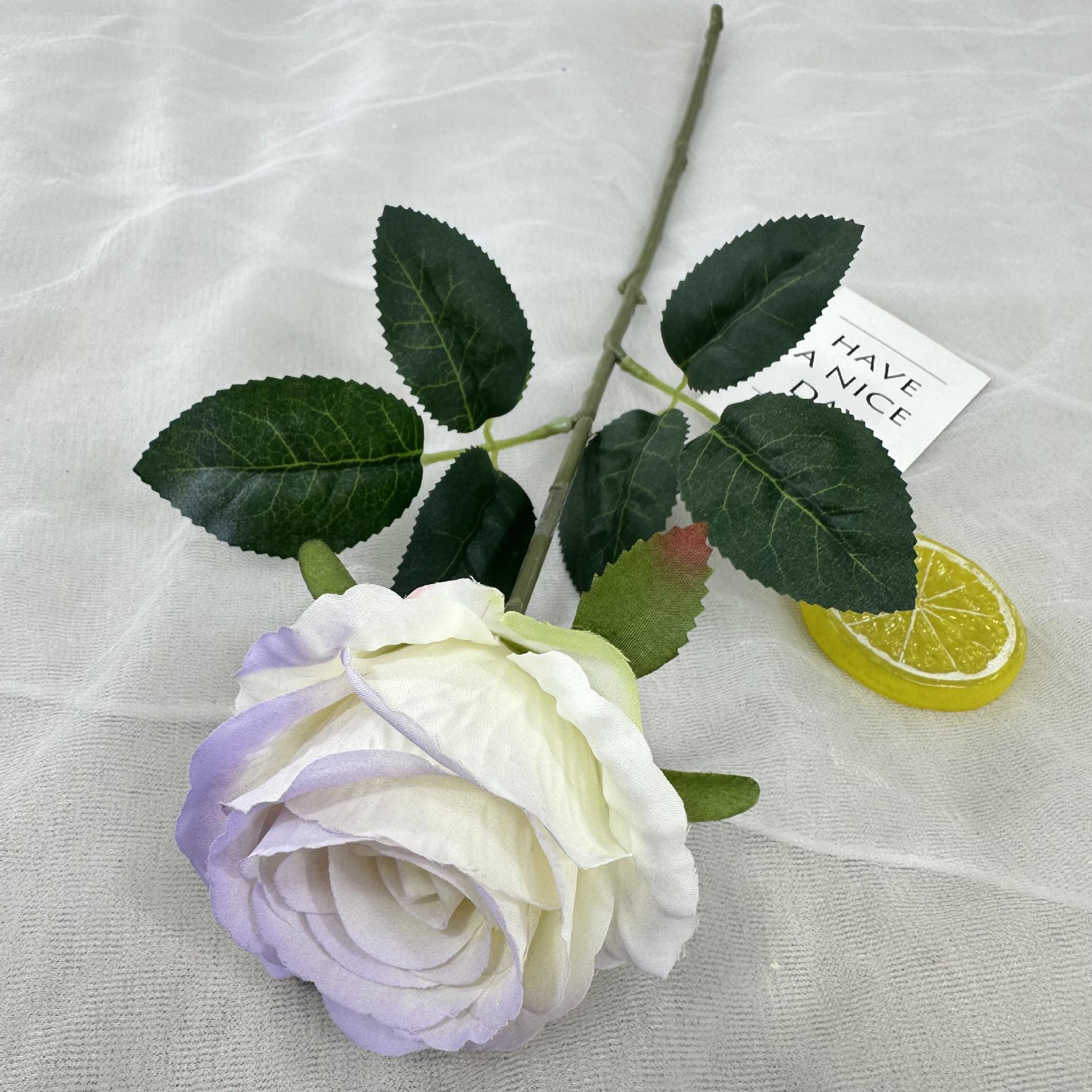 สีม่วงไล่ระดับ