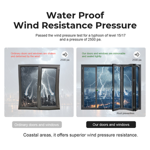 Porte pliante en verre trempé avec certification CE ZEKIN <span class=keywords><strong>France</strong></span> Project Engineering, fenêtre en aluminium à isolation thermique, autres fenêtres - Product Image 3
