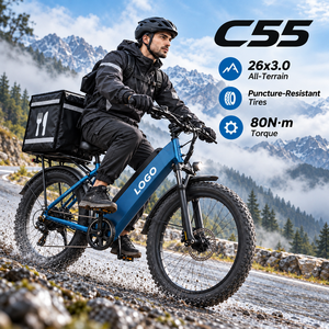 Bicicleta Eléctrica de Alta Velocidad C55 750W, Venta al por Mayor, Bicicleta Eléctrica de Carga 220KM OEM para Repartidores - Product Image 1