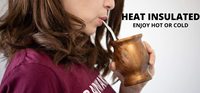Ensemble de tasses à thé en gourde naturelle Yerba Mate à double paroi en acier inoxydable de 250ml avec paille et brosse de nettoyage