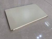 Panel Metálico Aislado de Color Sólido Brillante, Revestimiento de Pared Tipo Sándwich de Espuma de PU Lisa, Moderno, para Construcción de Viviendas, Resistente al Fuego e Impermeable