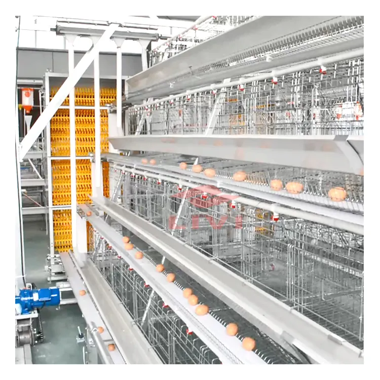 Caivi — cage de volaille à 4 niveaux, cage automatique pour 20000 oiseaux