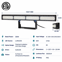 Projecteur LED pour pickleball 300W, source lumineuse LUMILEDS, driver SUNCOM, design anti-éblouissement, IP65, 26030lm, pour terrains d'entraînement en extérieur