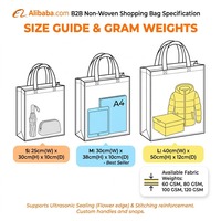 Sac de shopping en PP holographique, métallique or et argent, personnalisé avec logo, grande capacité, écologique, réutilisable, recyclable