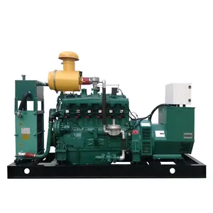 10Kw 20Kw 30Kw 50Kw 100Kw 200Kw 250Kw 500Kw الغاز الحيوي الصامت طقم توليد الغاز سعر للبيع