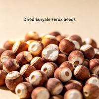 Noyau de Gorgone Séché Naturel (Euryales Semen) – Matière Première Végétale pour Complément Alimentaire, Extrait Cosmétique et Graine Comestible