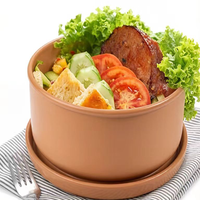 Boîte à lunch en silicone, compatible micro-ondes, sans BPA, écologique, simple, approuvée LFGB, pour le stockage des repas.