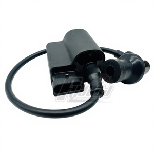 Allumeur de bobine d'allumage de moto haute tension pour <span class=keywords><strong>Piaggio</strong></span> FLY100 DZ100 BYQ100T - Product Image 6