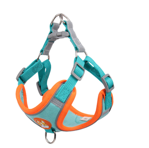 Manufacturer Designer Nylon Harness Leash Set for Dogs Fashionable Reflective Personalized Pet Gear Small Medium Large <b>Walking</b> - Product Image 3