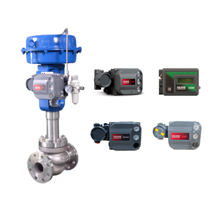 67DFR 67CFR ตัวควบคุมฟิลเตอร์ DVC2000 DVC6200 ตัวควบคุมดิจิตอลอัจฉริยะ - Product Image 3