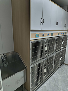 Attrezzature Personalizzate per Ospedali e Cliniche Veterinarie, Pianificazione e Progettazione Completa dell'Ospedale, Consegna Internazionale Porta a Porta EDM - Product Image 6