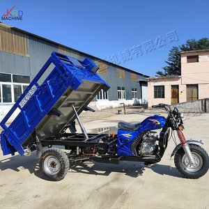 Produits phares : Tricycle à essence à 3 roues de haute qualité, vente directe usine, grande capacité pour la livraison - Product Image 3