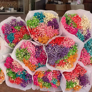 Venta al por Mayor <span class=keywords><strong>de</strong></span> Gypsophila Natural Seca, 120g/Bolsa, 400g/Bolsa, Ramo <span class=keywords><strong>de</strong></span> Flores <span class=keywords><strong>de</strong></span> Gypsophila para Centros <span class=keywords><strong>de</strong></span> Mesa <span class=keywords><strong>de</strong></span> Boda - Product Image 2