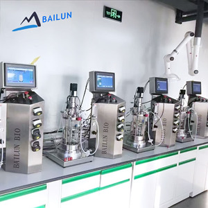 Bacterial Bioreactor Fermentor 10L Glass <b>Jacketed</b> Microbial Fermenter System with Price for Lab - Product Image 1