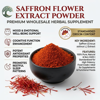 Extrait de fleur de safran de qualité alimentaire 0,4% 5% Supplément à base de plantes Poudre de Safranal Certifié GMP 1kg Vente en gros en fût/bouteille/canette