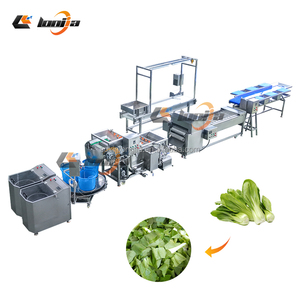 Lavadora de Burbujas para Pimientos y Achicoria a Pequeña Escala, Cortadora de Vegetales, Lavadora de Ensaladas, Línea de Producción de Ensaladas Frescas - Product Image 4