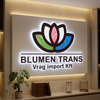 Letrero Luminoso Retroiluminado para Exteriores, Panel de Señalización Decorativo, Logotipo Personalizado con Luz, Letrero con Letras LED 3D para Negocios en Exteriores