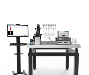 Calciumcontractieloodsysteem, hogesnelheidscamera fluorescentiebeeldvorming voor detectie van calcium en contractie in cellen - Product Image 2