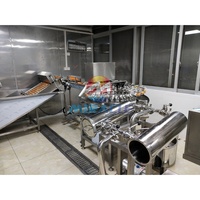 Ligne de production liquide d'oeufs pasteurisés à basse température avancée
