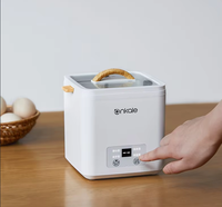 Vente chaude Ankale Factory Electric Portable Eggs Boiler pour les appareils ménagers.