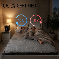 Matelas King Size à Double Zone de Refroidissement et de Chauffage par Eau, Système de Sommeil Intelligent à Circulation d'Eau, Alternative aux Huit Capsules de Sommeil