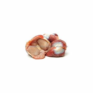 Gizzards de dinde congelés en vrac - Product Image 6