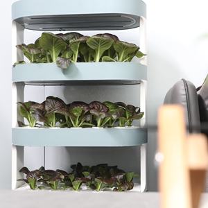 ขายส่งชั้นวางไฮโดรโปนิกส์ในร่ม ขายส่งระบบ<span class=keywords><strong>ปลูก</strong></span>แนวตั้ง การปลูกผักใน<span class=keywords><strong>บ้าน</strong></span> - Product Image 4